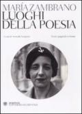 Luoghi della poesia. Testo spagnolo a fronte