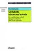 Contabilità e bilancio d'azienda. Un modello input-output di rappresentazione della realtà aziendale