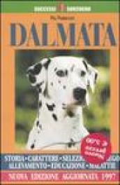 Dalmata