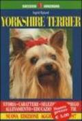 Yorkshire terrier