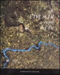 Gli Etruschi a nord del Po' (2 vol.)