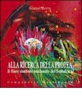 Alla ricerca della protea. Fiore simbolo nazionale del Sudafrica. Ediz. illustrata