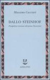 Dallo Steinhof. Prospettive viennesi del primo Novecento