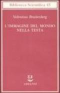 L'immagine del mondo nella testa