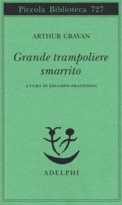 Grande trampoliere smarrito