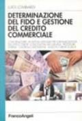 Determinazione del fido e gestione del credito commerciale. Come realizzare un sistema aziendale per l'organizzazione dell'ufficio crediti: concessione fidi...