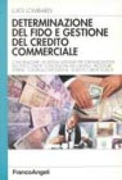 Determinazione del fido e gestione del credito commerciale. Come realizzare un sistema aziendale per l'organizzazione dell'ufficio crediti: concessione fidi...