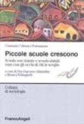 Piccole scuole crescono. Scuola non statale e scuola statale viste con gli occhi di chi le sceglie