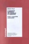 L'ambiente naturale nel bilancio di esercizio. Costi e passività ambientali