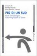 Più di un sud. Studi antropologici sull'immigrazione a Torino