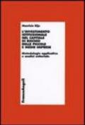L'investimento istituzionale nel capitale di rischio delle piccole e medie imprese. Metodologie applicative e analisi settoriale