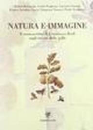 Natura e immagine. Il manoscritto di Francesco Redi sugli insetti delle galle