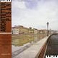 Architetture pisane (2004). 4.I Lungarni