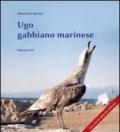 Ugo gabbiano marinese