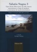 Sabatia stagna 3. Vigna Orsini (Bracciano): da villa romana semisommersa a luogo di sepoltura e venerazione dei martiri foroclodiensi. Indagini archeologiche (2013-2017) a UT 135