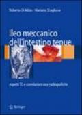 Ileo meccanico dell'intestino tenue