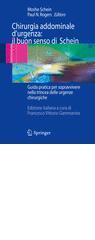 Chirurgia addominale d'urgenza: il buon senso di Schein: Guida pratica per sopravvivere nella trincea delle urgenze chirurgiche (Italian Edition)