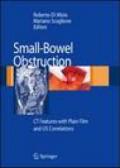 Small-bowel obstruction: CT features with plain film and US correlations