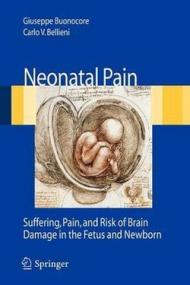 Neonatal pain. Suffering, pain, and risk of brain damage in the fetus and newborn