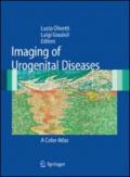 Imaging of urogenital diseases. A color atlas