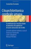 Citoarchitettonica cerebrale umana. Il contributo di un vecchio atlante di anatomia all'acquisizione delle nuove conoscenze sul cervello