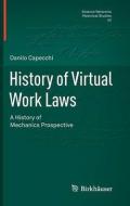 History of virtual work laws. A history of mechanics prospective