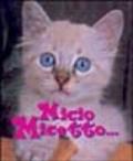 Micio micetto...