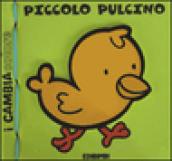 Piccolo pulcino