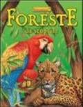 Foreste da scoprire. Ediz. illustrata