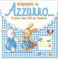 Sorpresa in azzurro... Il primo anno del mio bambino