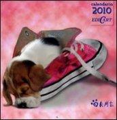 Cani. Calendario 2010