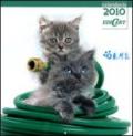 Gatti. Calendario 2010
