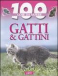 Gatti e gattini