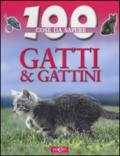 Gatti e gattini