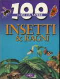 Insetti e ragni