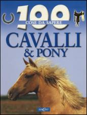 Cavalli e pony