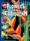 I fiori dei Caraibi. Ediz. inglese