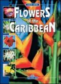 I fiori dei Caraibi. Ediz. inglese