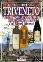 Triveneto