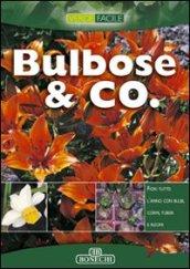 Bulbose & Co.