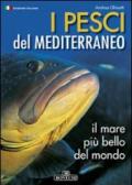 Pesci del Mediterraneo il mare più bello del mondo