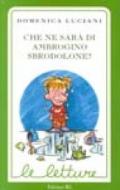 Che ne sarà di Ambrogino Sbrodolone?