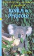 Koala in pericolo