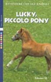 Lucky, piccolo pony