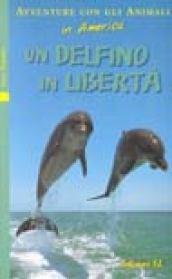 Un delfino in libertà