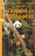 Un panda da proteggere