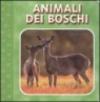 Animali dei boschi