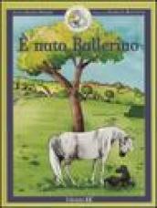 È nato Ballerino. Ballerino piccolo cavallo magico. Ediz. illustrata: 1