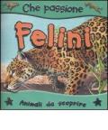 I felini. Animali da scoprire