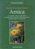 Arnica. Un rimedio efficace per ferite, ecchimosi ed ematomi, infiammazioni, disturbi della circolazione